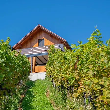 Počitniška hiša Vineyard Mehak *