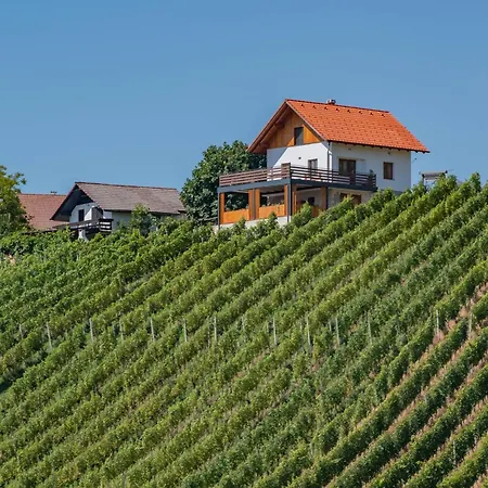 Vineyard Mehak Počitniška hiša *